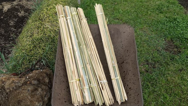 80cmに切った竹の棒